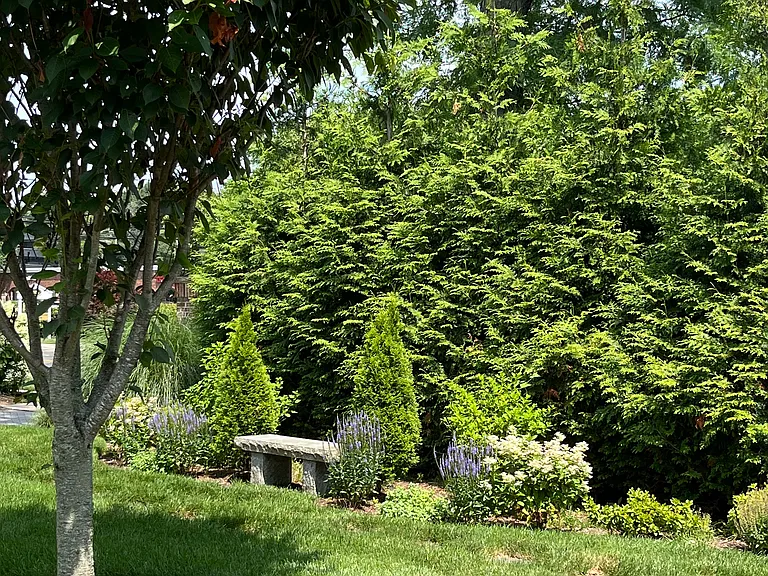 11 Pond Ln #11 — Photo 15