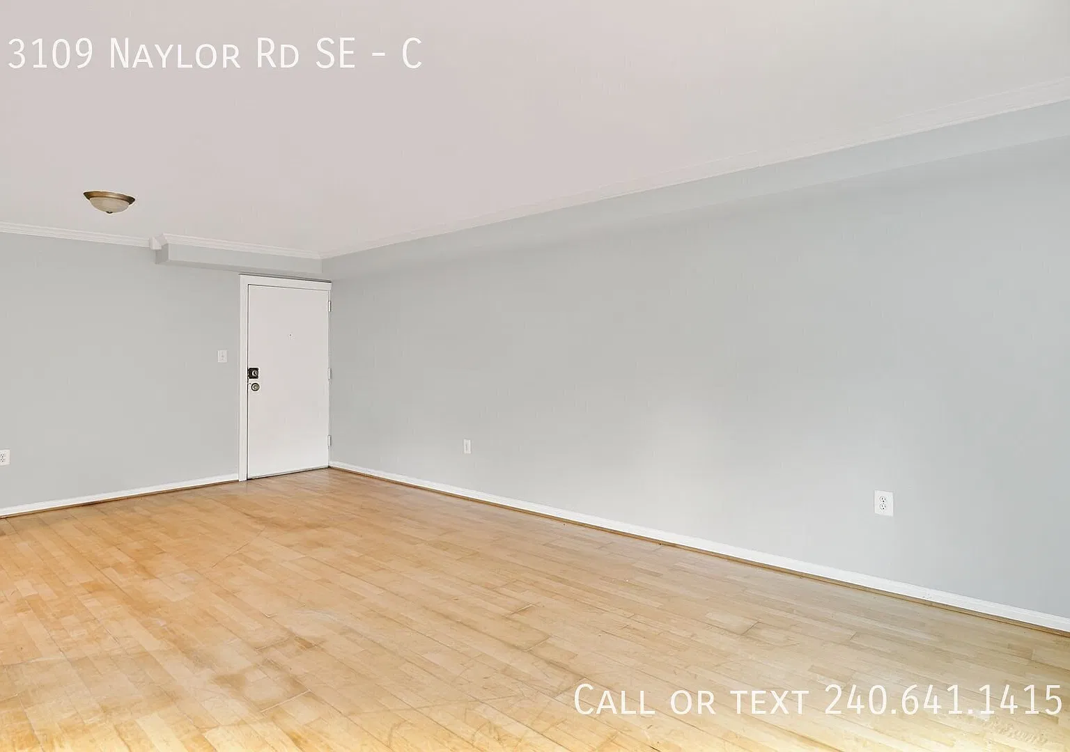 Charming 2 BR/1 BA Condo in Buena Vista! — Photo 2