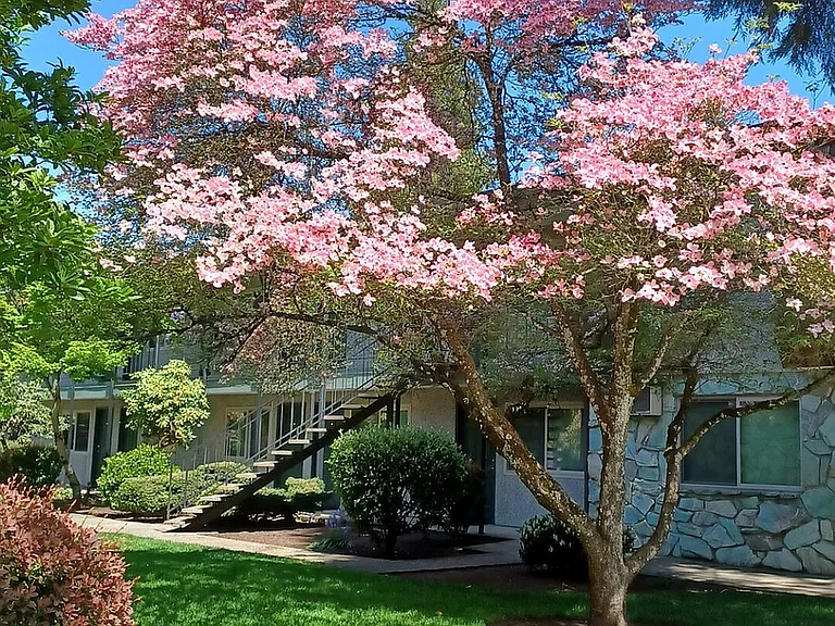Jade West Apartments - Eugene Oregon