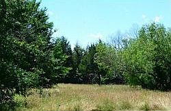 5th image of 247 County Road 2205