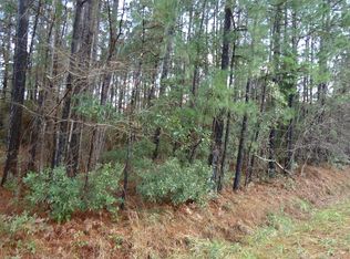 1043 Deer Run Ave, Georgetown, SC 29440