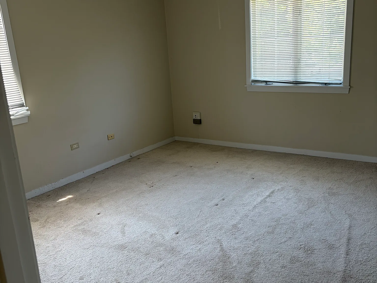 1 bed, 700 sqft, $1,200 — Photo 2