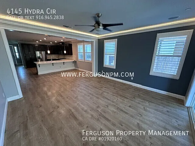 4145 Hydra Cir — Photo 6