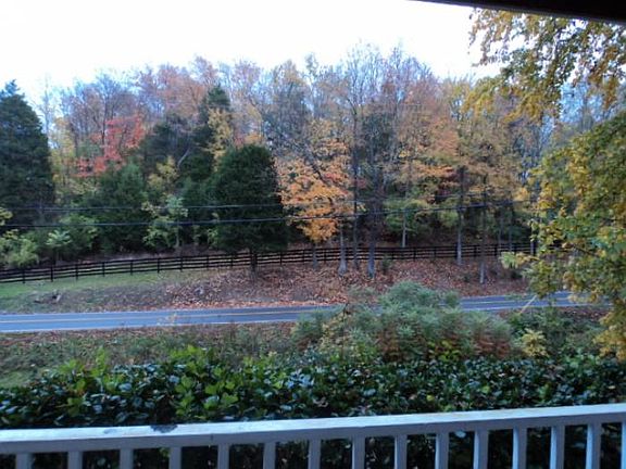 Pretty View