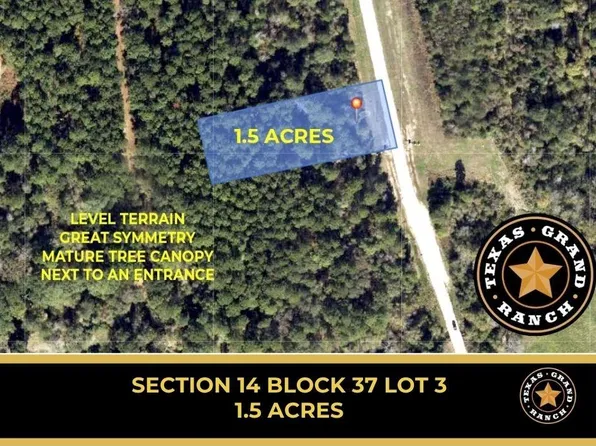 14-37 Dipping Vat Rd Lot 3, New Waverly, TX 77358