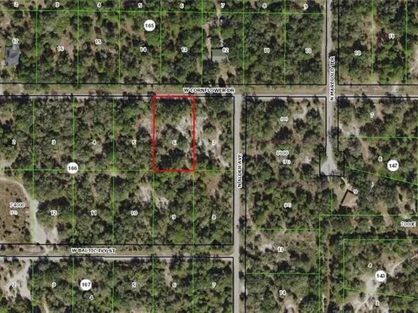 12478 W Cornflower Dr, Crystal River, FL 34428