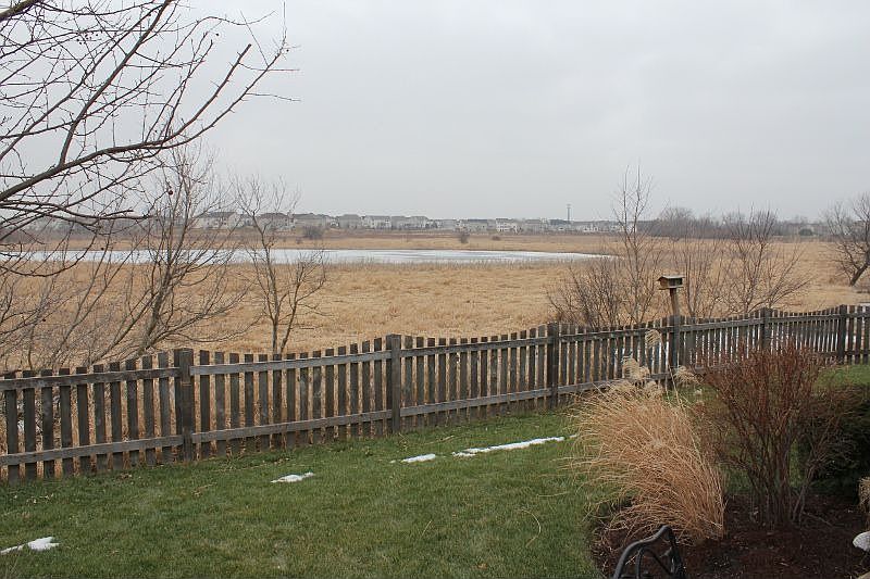 Protected Wetlands