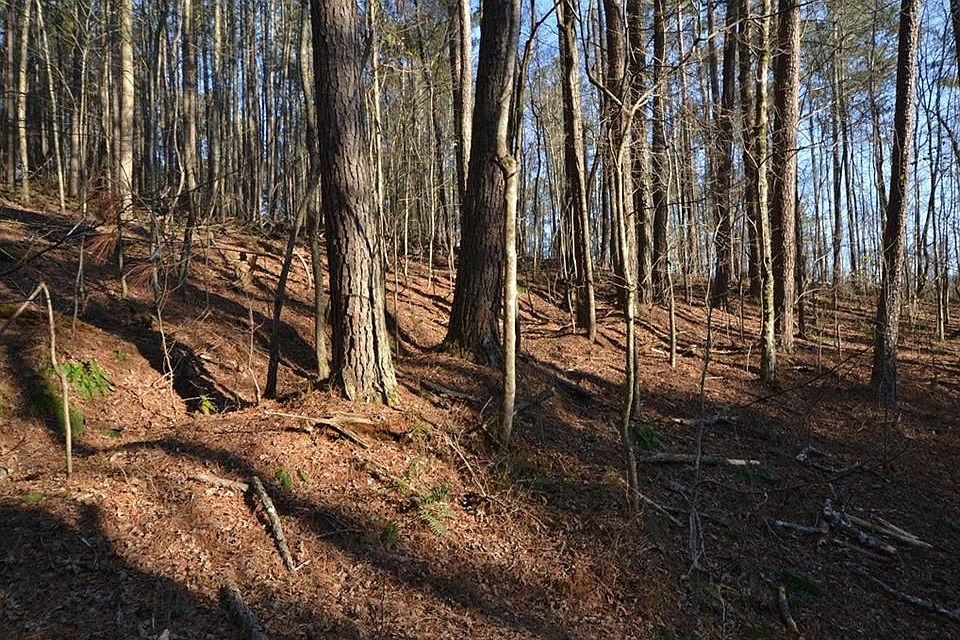 2nd image of 2 Incline Dr