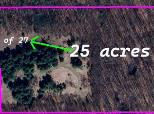 2600 N Bass Lake Rd, Pierson, MI 49339