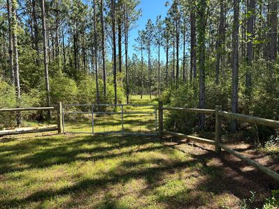 Harrison Rd, Defuniak Springs, FL, 32433