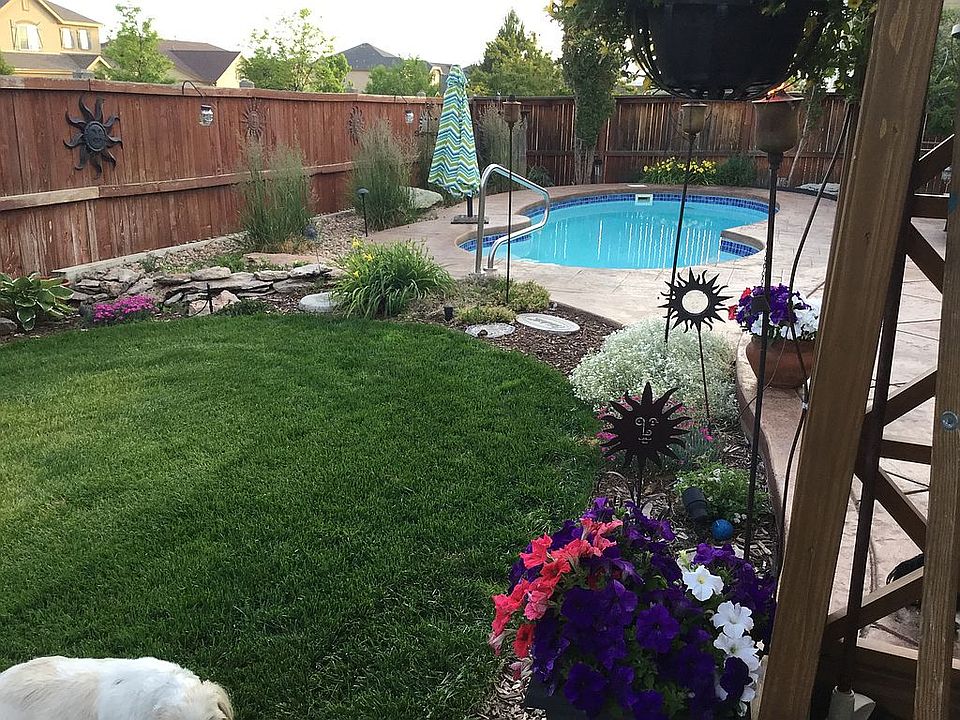 Stunning backyard pool!