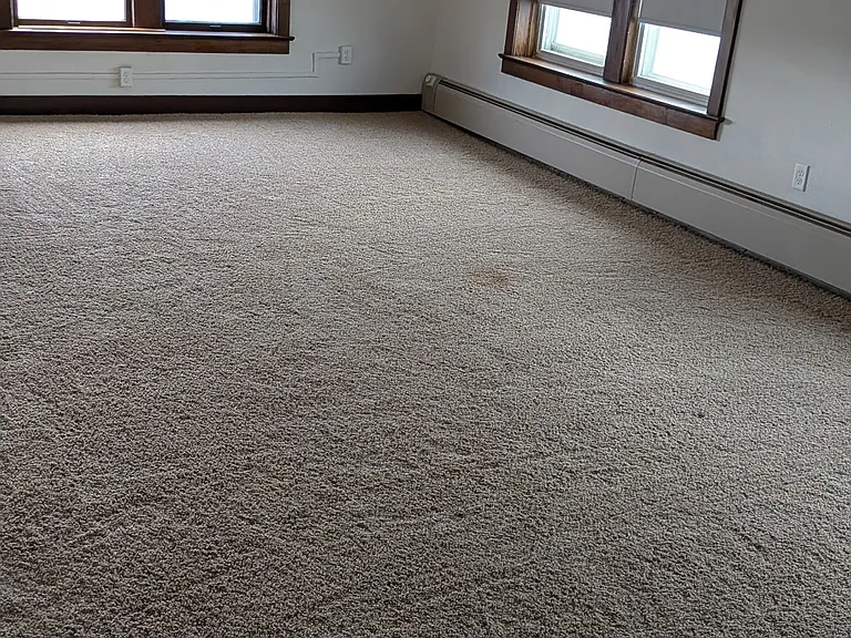 917 3rd Ave #1 — Photo 2