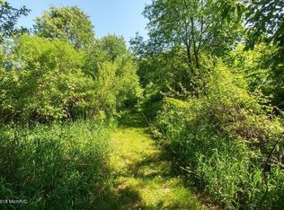 10892 Grand River Dr SE, Lowell, MI 49331