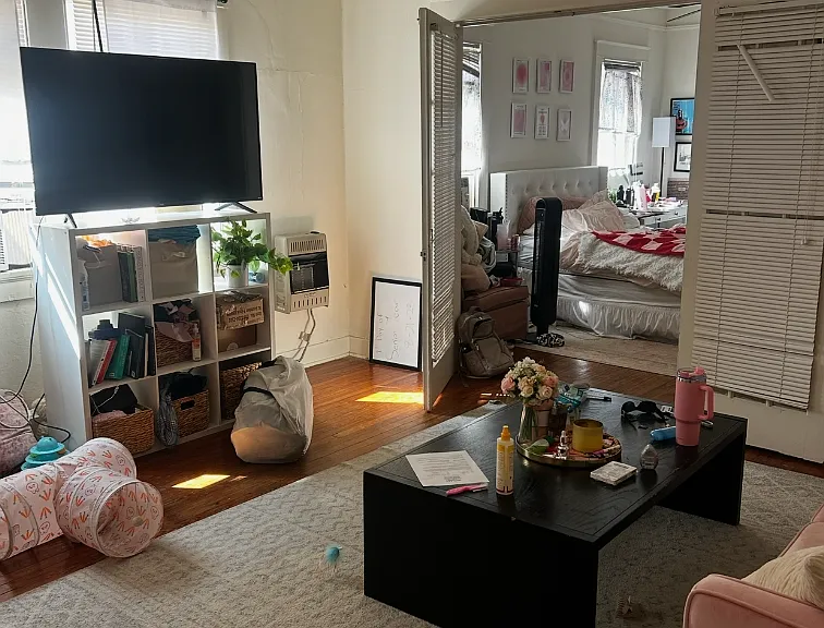 913 Lowerline St — Photo 9