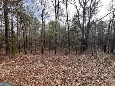 0 Floyd Rd, Pine Mountain, GA, 31822