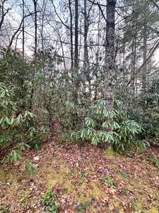 0 Hedden, Highlands, NC, 28741