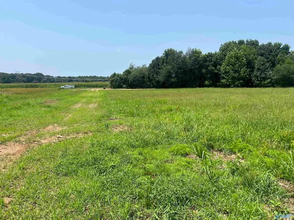 Old School House Rd, Ardmore, AL 35739