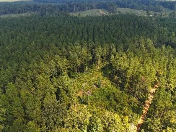 0 W State Highway 106, Georgiana, AL 36033
