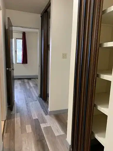 1 bed, 1.0 bath, $950 — Photo 3