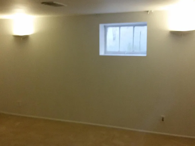 Lower Level Den #1