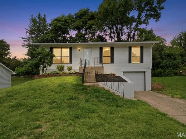 10607 Saint Michaels Terrace Ct, Saint Ann, MO 63074