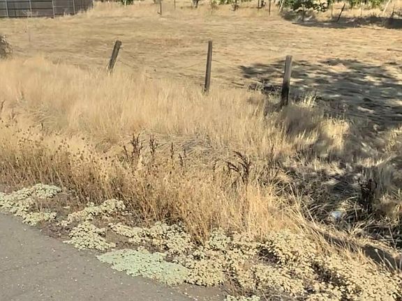 5th image of Lower Honcut Rd