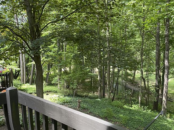 view from rear deck overlooking Nimishellen Creek