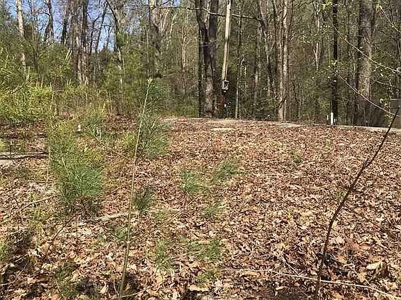 4th image of 988 Middle Creek Rd