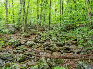 1509 Spruce Creek Ln, Nellysford, VA 22958