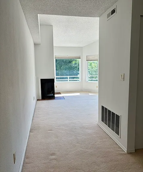 Condo Entrance and fireplace at the end
