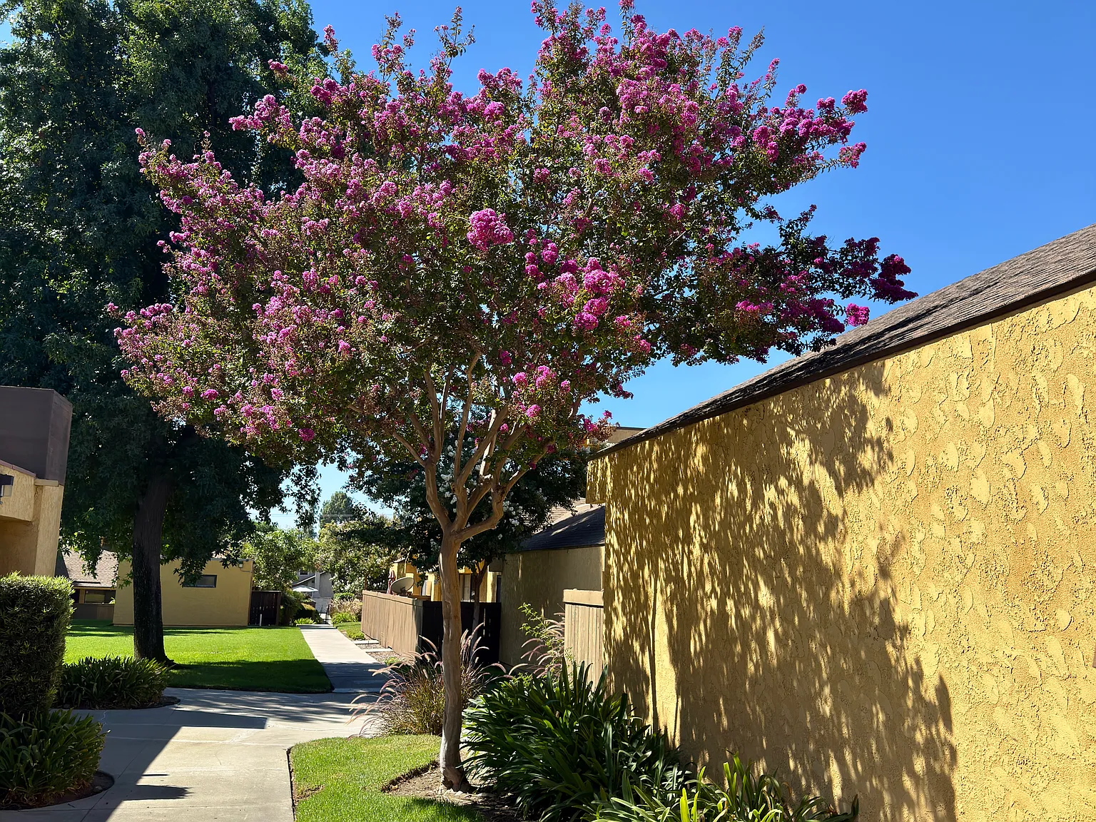 3 bed, 1080 sqft, $2,500 — Photo 4
