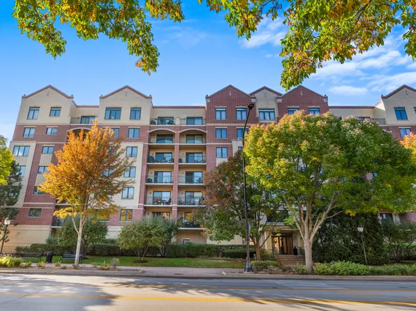 20 S Main St APT 301, Mount Prospect, IL 60056