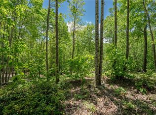 0 Beaver Dam Road, Elk Park, NC 28622