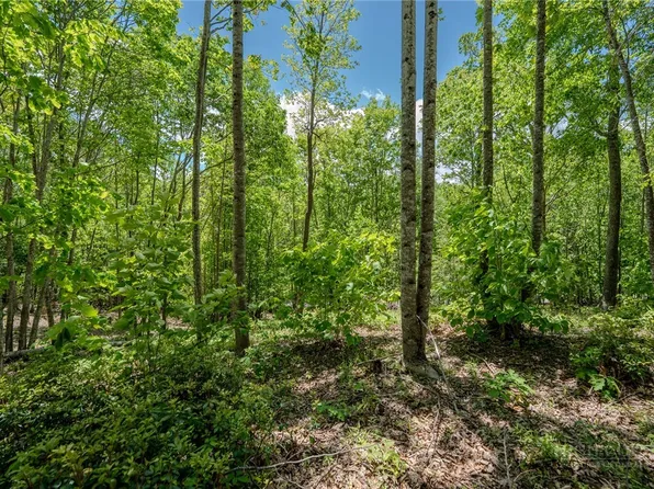 0 Beaver Dam Road, Elk Park, NC 28622