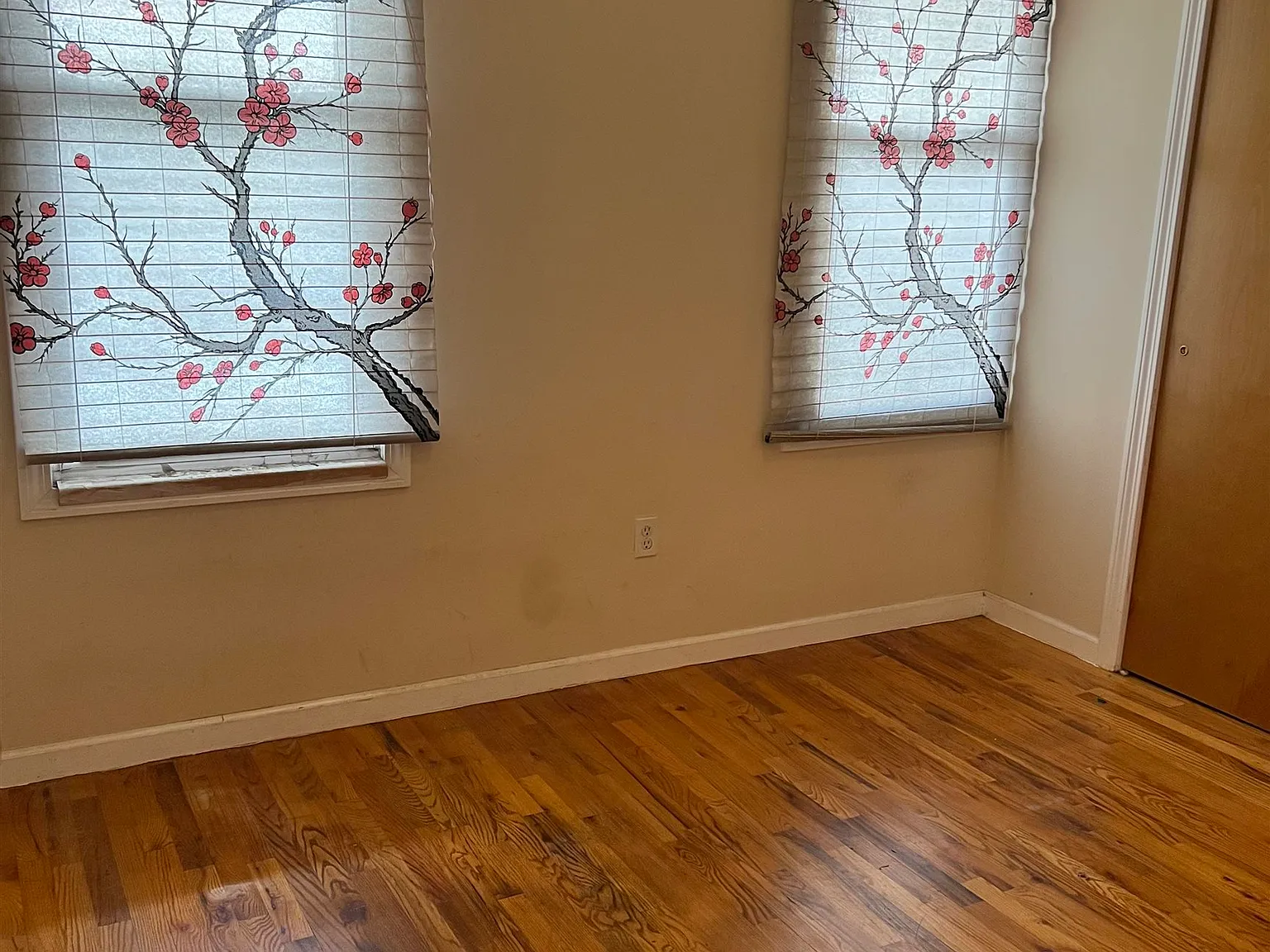 2 bed, 1.0 bath, $2,500 — Photo 2