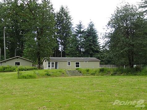 Another view of the backyard