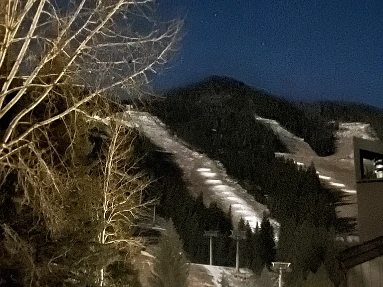 Snow cats from deck