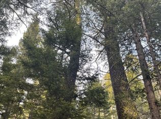 LOT 81 Lakeview, Georgetown Lake, MT 59711