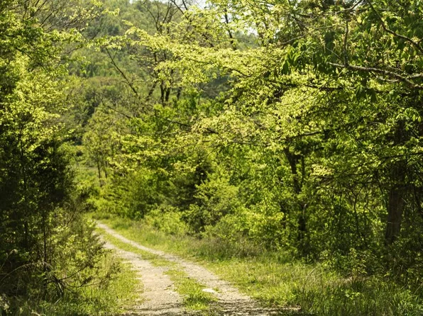 0 Alanthus Hill Rd, Tazewell, TN 37879