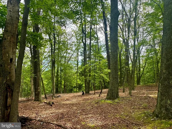 5620 High Knob Rd, Old Fields, WV 26845