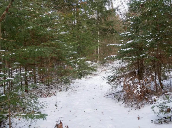 +/-60 Acres COUNTY ROAD YY, Ogema, WI 54459