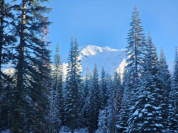 Everitt Memorial Hwy, Mount Shasta, CA 96067