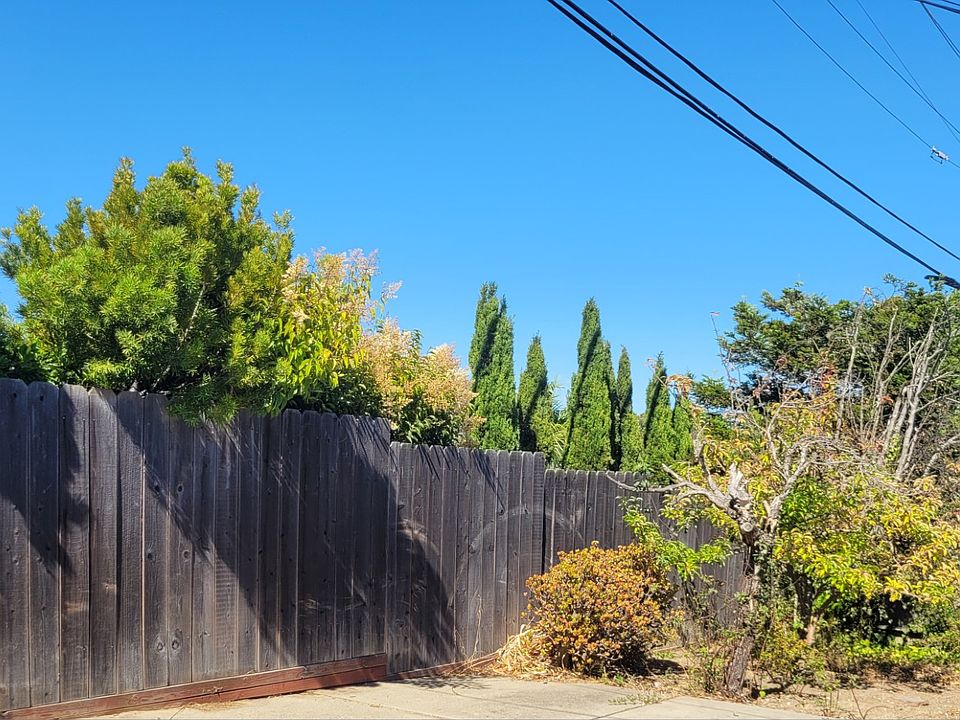 Large Backyard