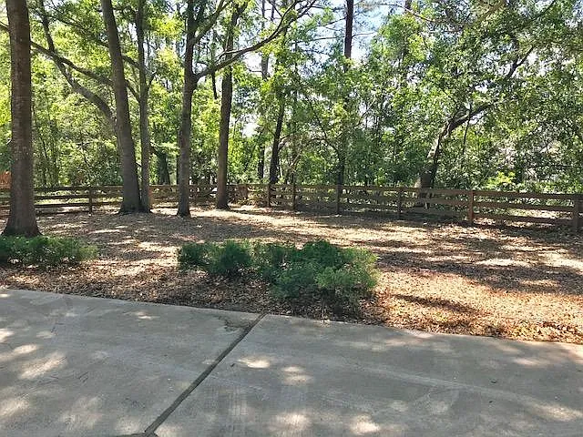 8413 Bald Eagle Ln — Photo 11