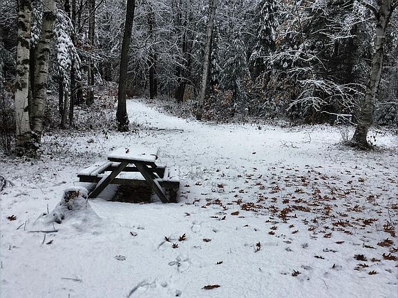 3rd image of N River Ln