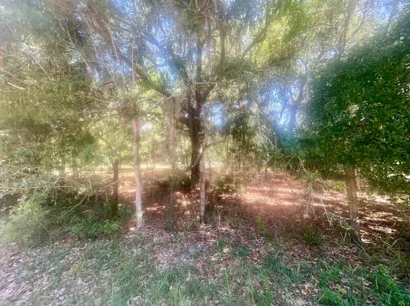 13385 NE 228th Lane Rd, Fort Mc Coy, FL 32134