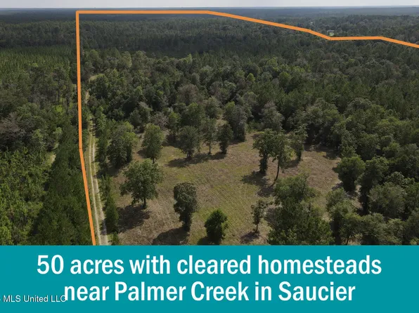 14481 E Wortham Rd, Saucier, MS 39574