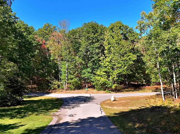 0 Cochrane Dr, Cadillac, MI 49601