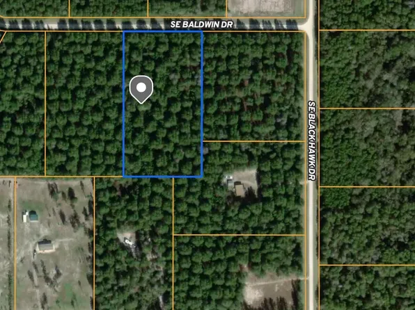 Vacant Se Baldwin Dr, Lee, FL 32059