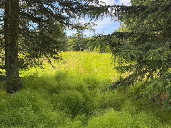 0 Moon Ln, Homer, AK 99603